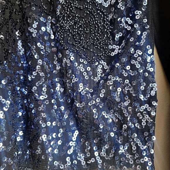 NWT Melanie Lyne Textured Sequins Chiffon Long Sleeve Top in Black Size… - Picture 6 of 13